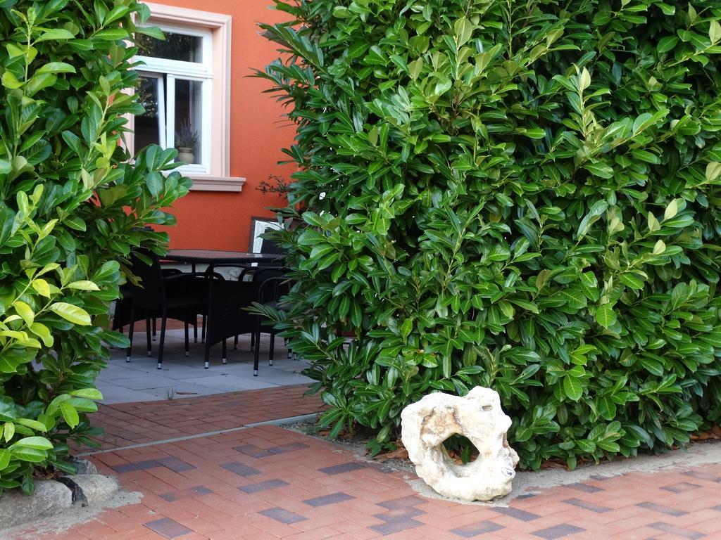 Deutsches Haus Apartments Lohme Exteriér fotografie